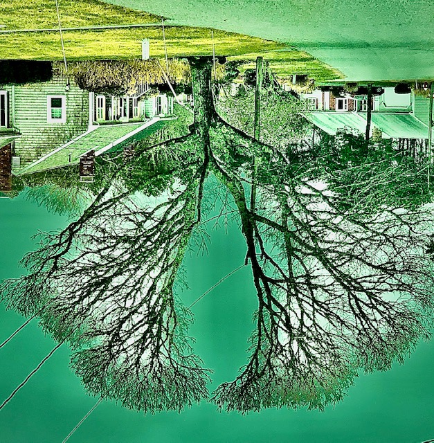 Prayer for the Lungs, Amy Kandall,2020