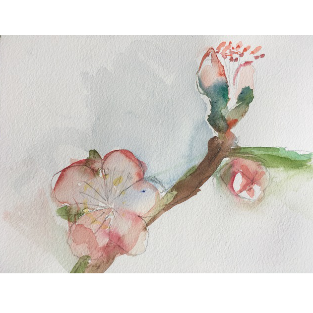 Peach tree bud, Rebecca Arnoldi