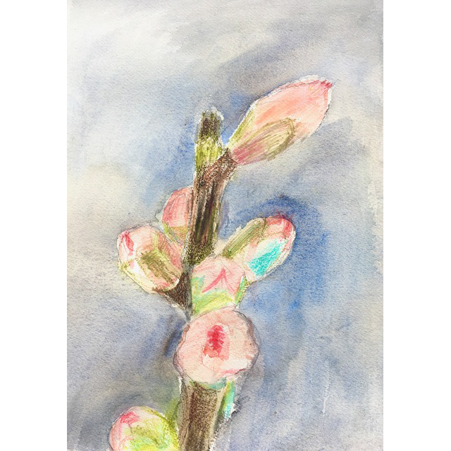 Peach tree bud, Rebecca Arnoldi