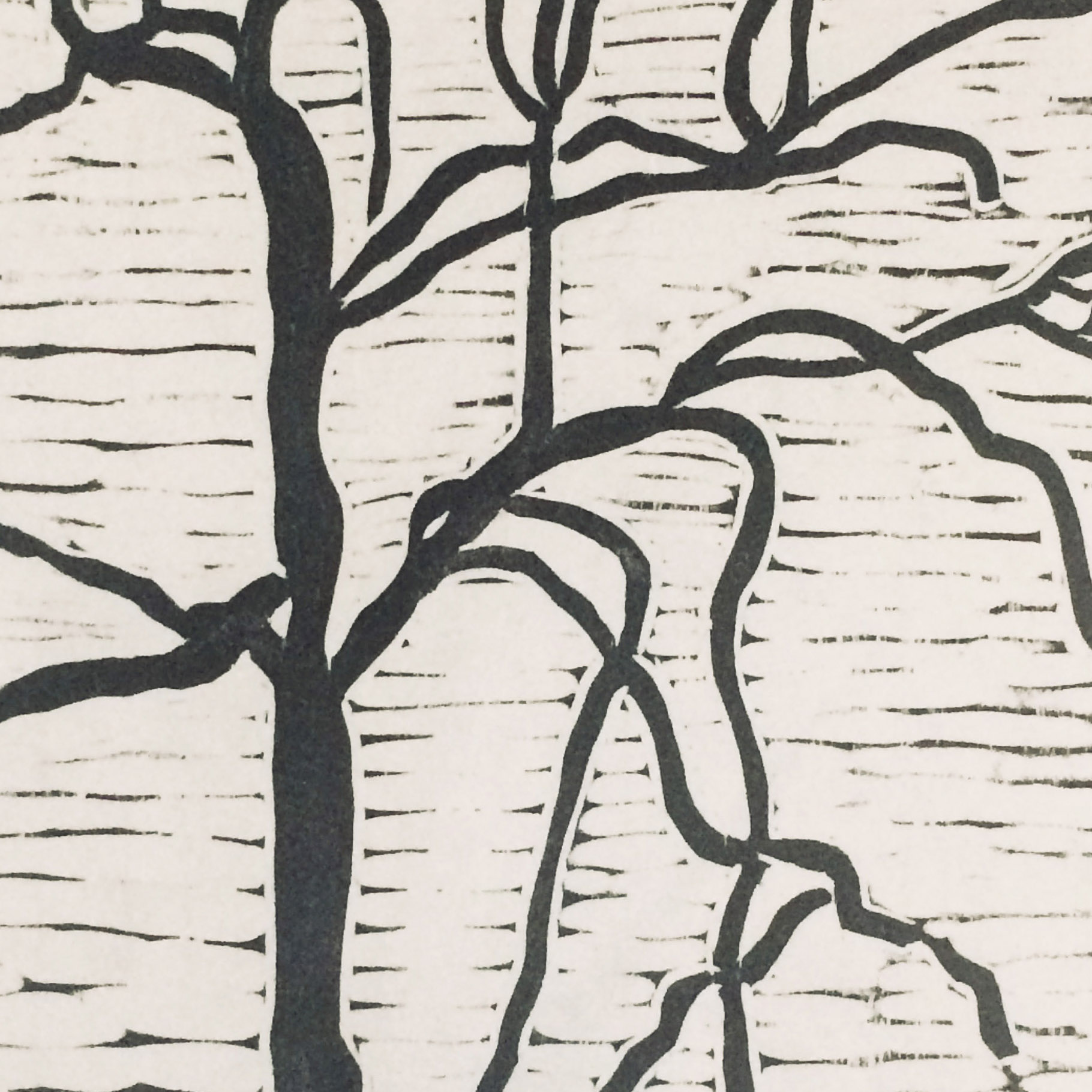 Woodcut of a tree, Hanni Woodbury