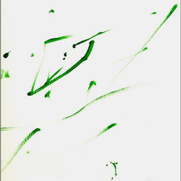 2 minute tree painting by Douglas Fir, N. Nadkarni