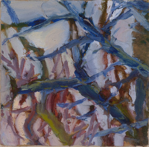 from Among the Trees, Rebecca Arnoldi